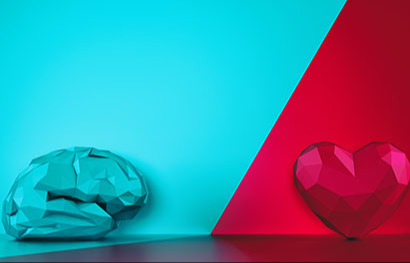 Core theme: Interaction of reason and emotion 